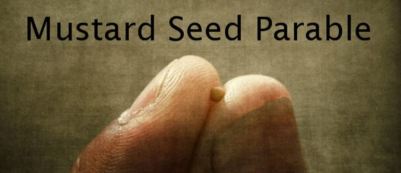seed